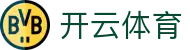 开云体育 - Kaiyun Sports 官方网站